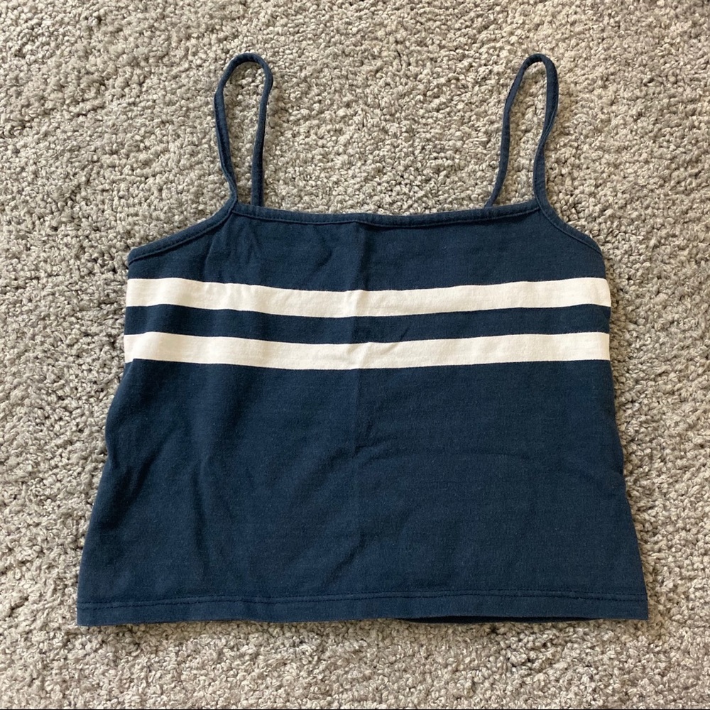 Brandy Melville Striped Crop Top